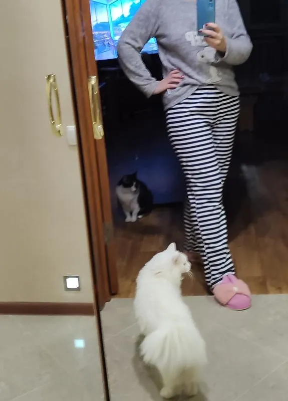 Плюшевые, тёплые домашние брюки в полоску